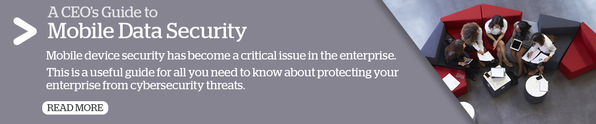 Mobile Data Security