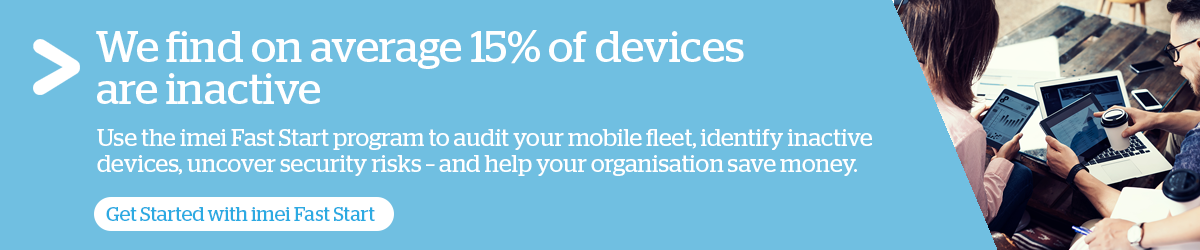 imei Fast Start Program