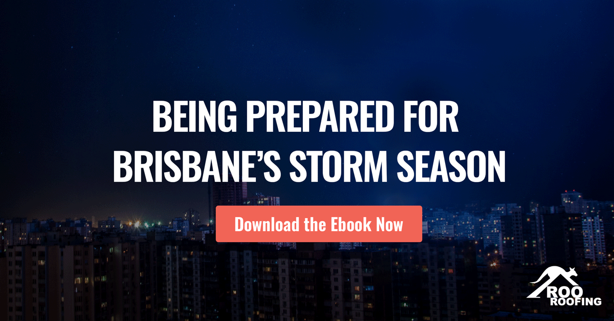 Brisbane Storm Season