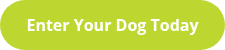 Enter Your Dog Today