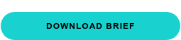 Download brief