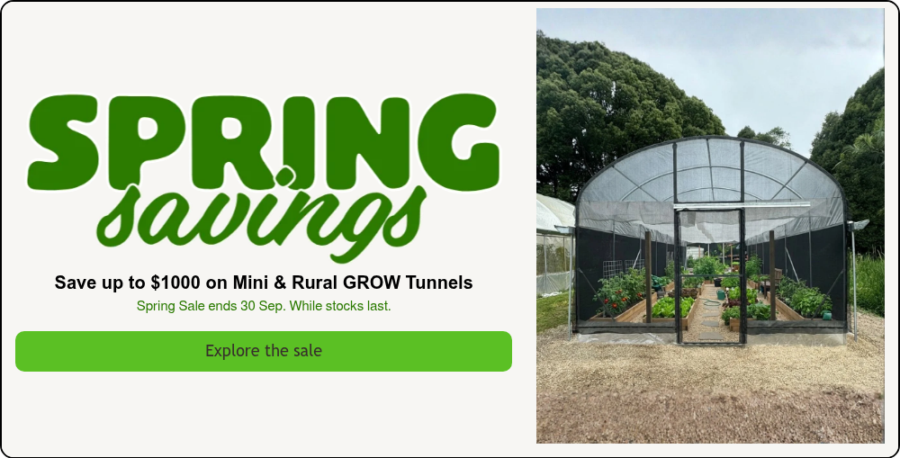 Spring Savings
