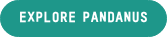 explore pandanus