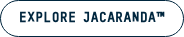 Explore Jacaranda