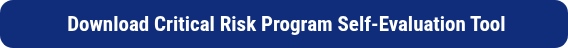 <p style="font-weight: bold;">&nbsp;Download Critical Risk Program Self-Evaluation Tool</p>