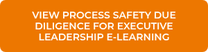 VIEW PROCESS SAFETY DUE DILIGENCE FOR EXECUTIVE LEADERSHIP E-LEARNING