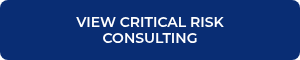 VIEW CRITICAL RISK CONSULTING