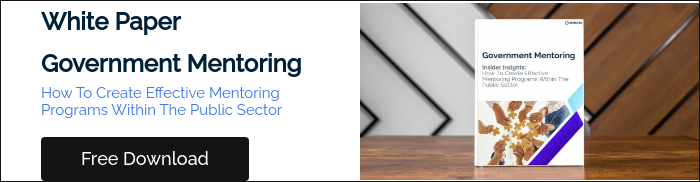 White Paper Government Mentoring&nbsp; How To Create Effective Mentoring Programs Within The Public Sector &nbsp;