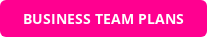 BUSINESS TEAM PLANS