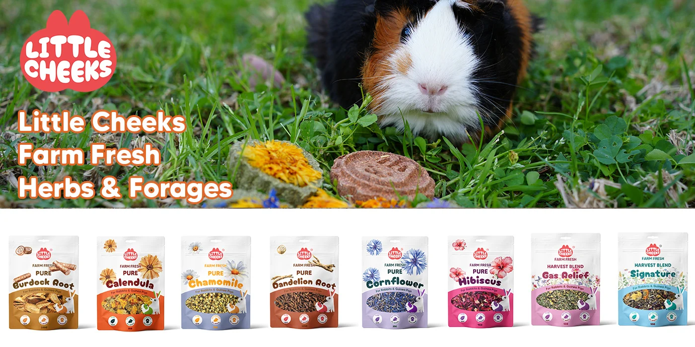 Little Cheeks Banner