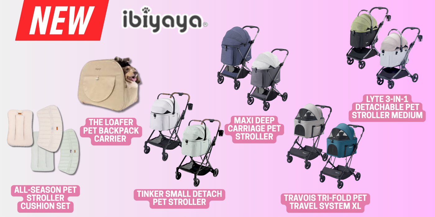 ibiyaya new