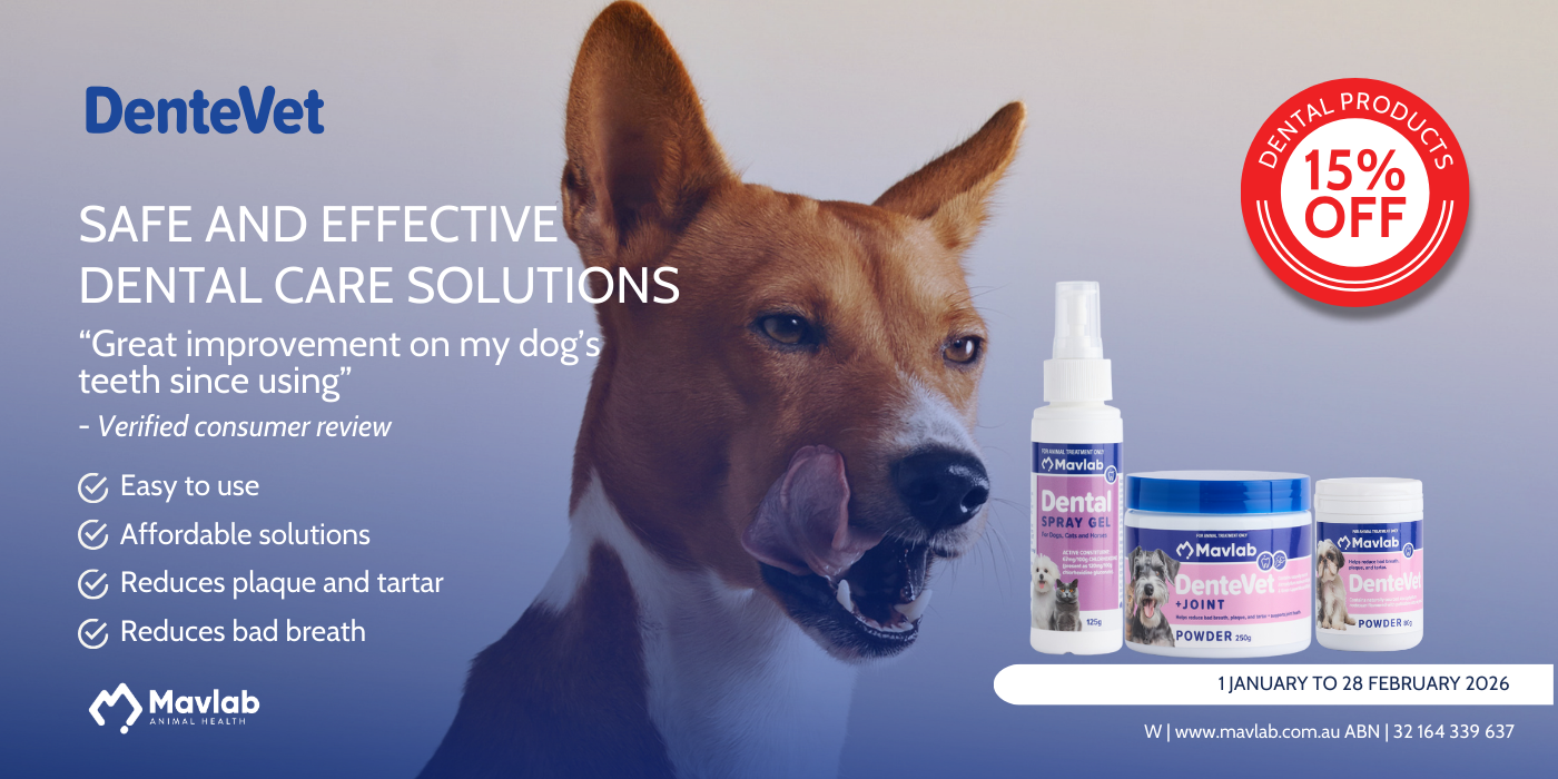 DentevVet 1400 x 700 jan feb promo-1