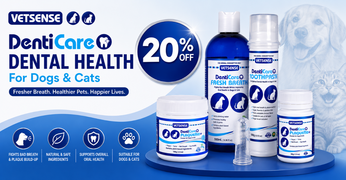 Vetsense Denticare20% ED July Patrick Weiss