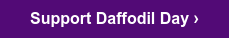 Support Daffodil Day ›