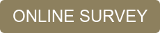 ONLINE SURVEY
