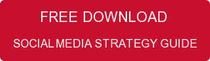 FREE DOWNLOAD  SOCIAL MEDIA STRATEGY GUIDE