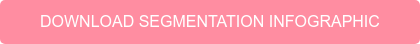 DOWNLOAD SEGMENTATION INFOGRAPHIC