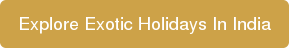 Explore Exotic Holidays In India