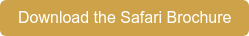Download the Safari Brochure