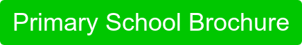 Primary School Brochure