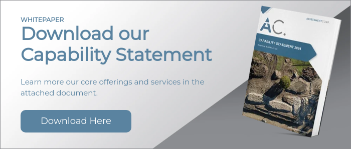 WHITEPAPER Download our Capability Statement   Learn more our core offerings and services in the attached document.  