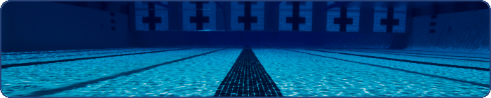 Swimming Pool and Spa Control Systems