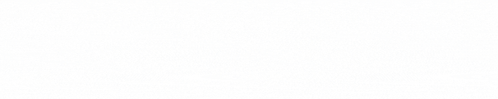 Prius | Everything You Need To Know