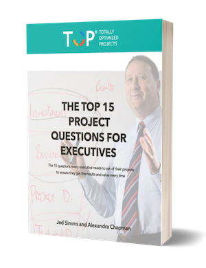 DOWNLOAD OUR BOOK The TOP 15 Project Questions  for Executives