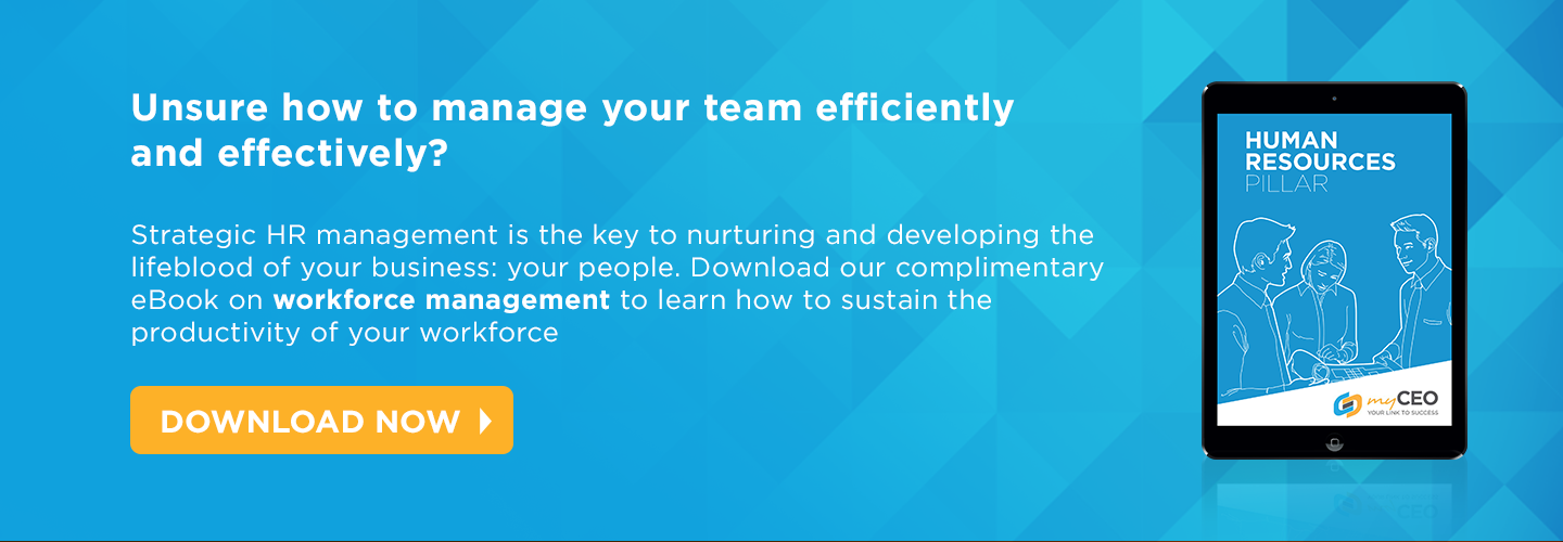 Download the Human Resources Pillar ebook