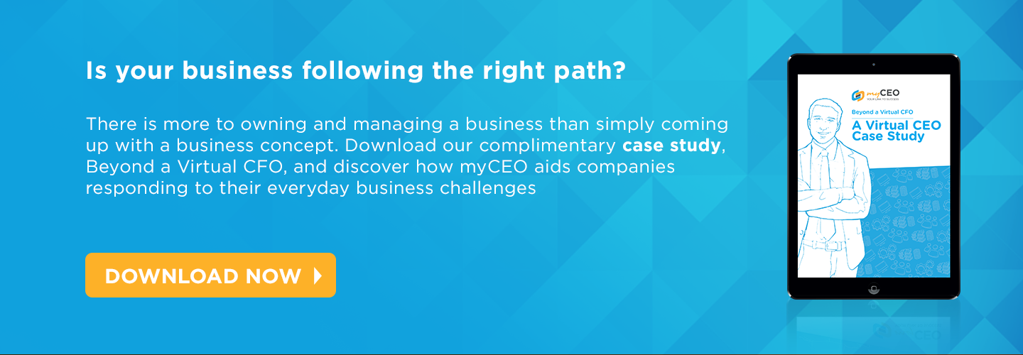 Download Beyond A Virtual CFO Case Study