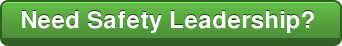 Need Safety Leadership?&nbsp;