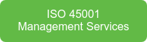 ISO 45001 Management Services