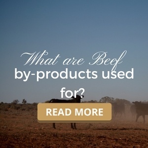 What are beef by-products used for?