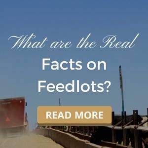 What are the Real Facts on Feedlots?