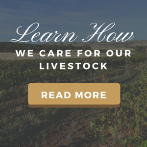 How Princess Royal Station Cares for Livestock