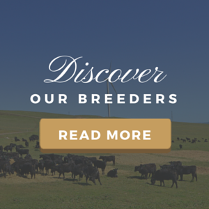 Princess Royal Station Breeders