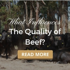 What Influences the Quality of Beef?
