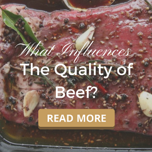 What Influences the Quality of Beef?