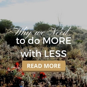 Why we need to do more with less