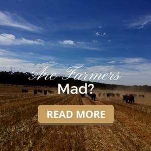 Are Farmers Mad?