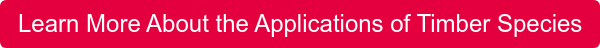 Learn More About the Applications of Timber Species