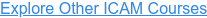 Explore Other ICAM Courses
