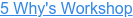 5 Why's Workshop
